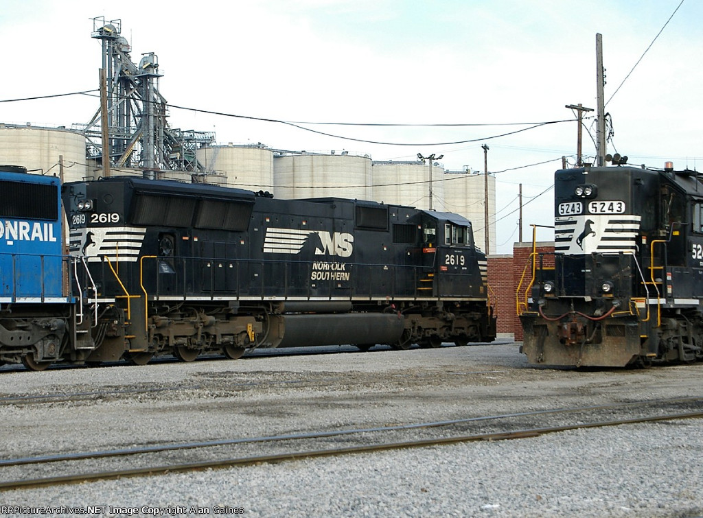 NS 2619